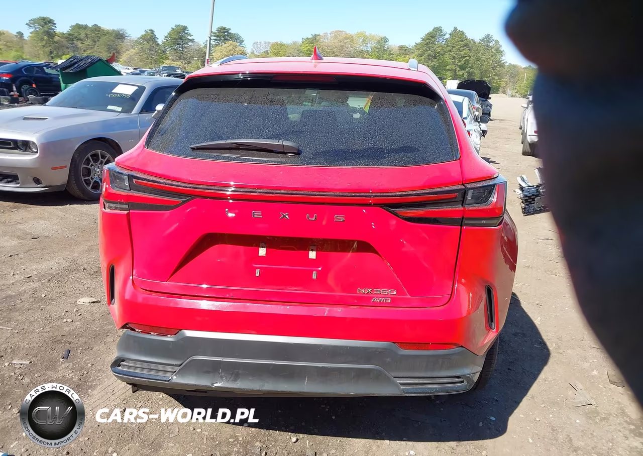 2022 Lexus Nx 350 VIN:2T2AGCEZXNC002047 - 16