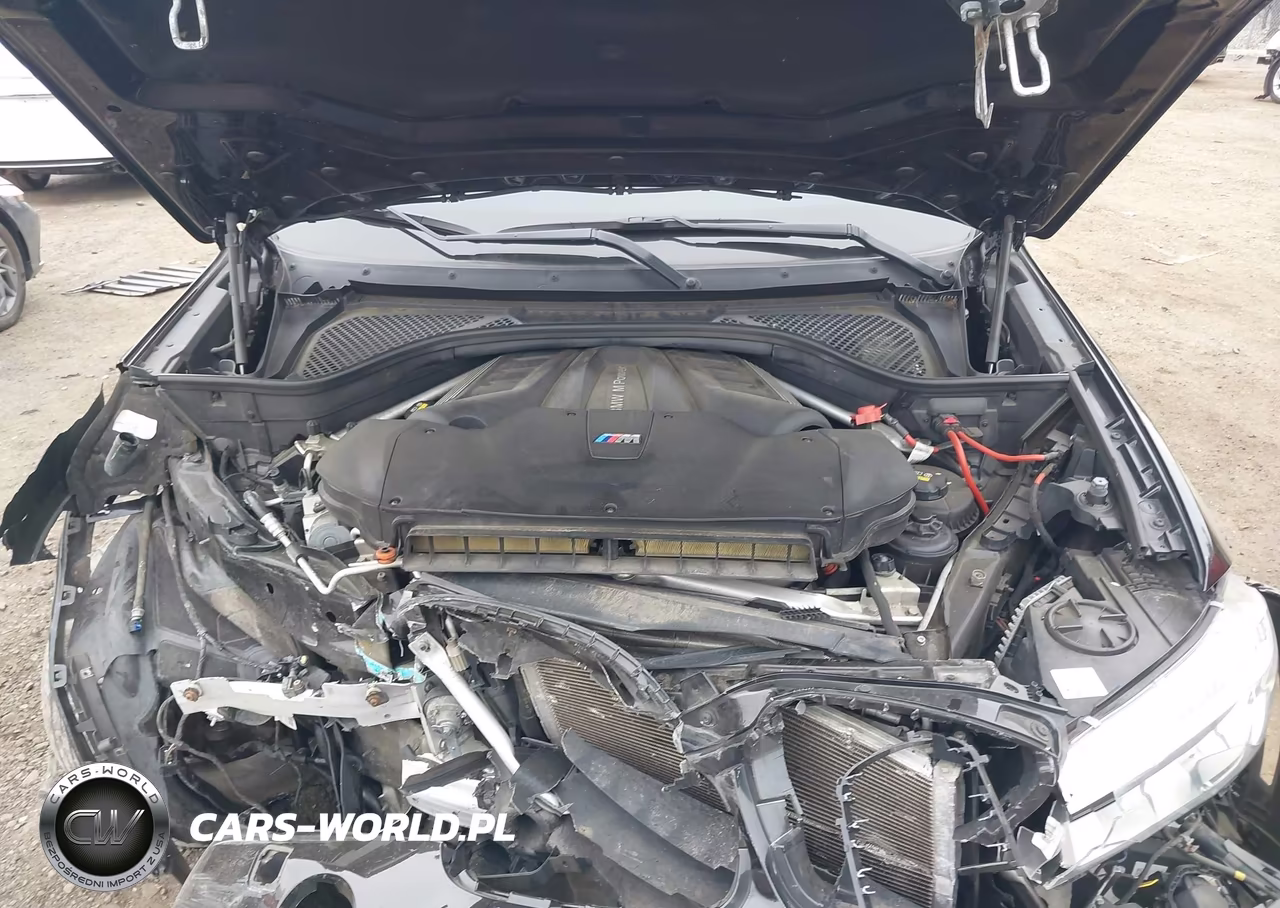 2016 BMW X5 M VIN:5YMKT6C52G0R78639 - 10