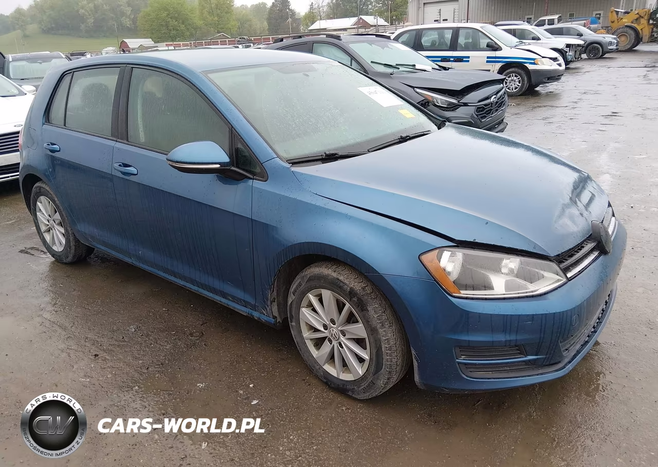 2016 Volkswagen Golf Tsi S 4-Door VIN:3VW217AU4GM043051 - 1