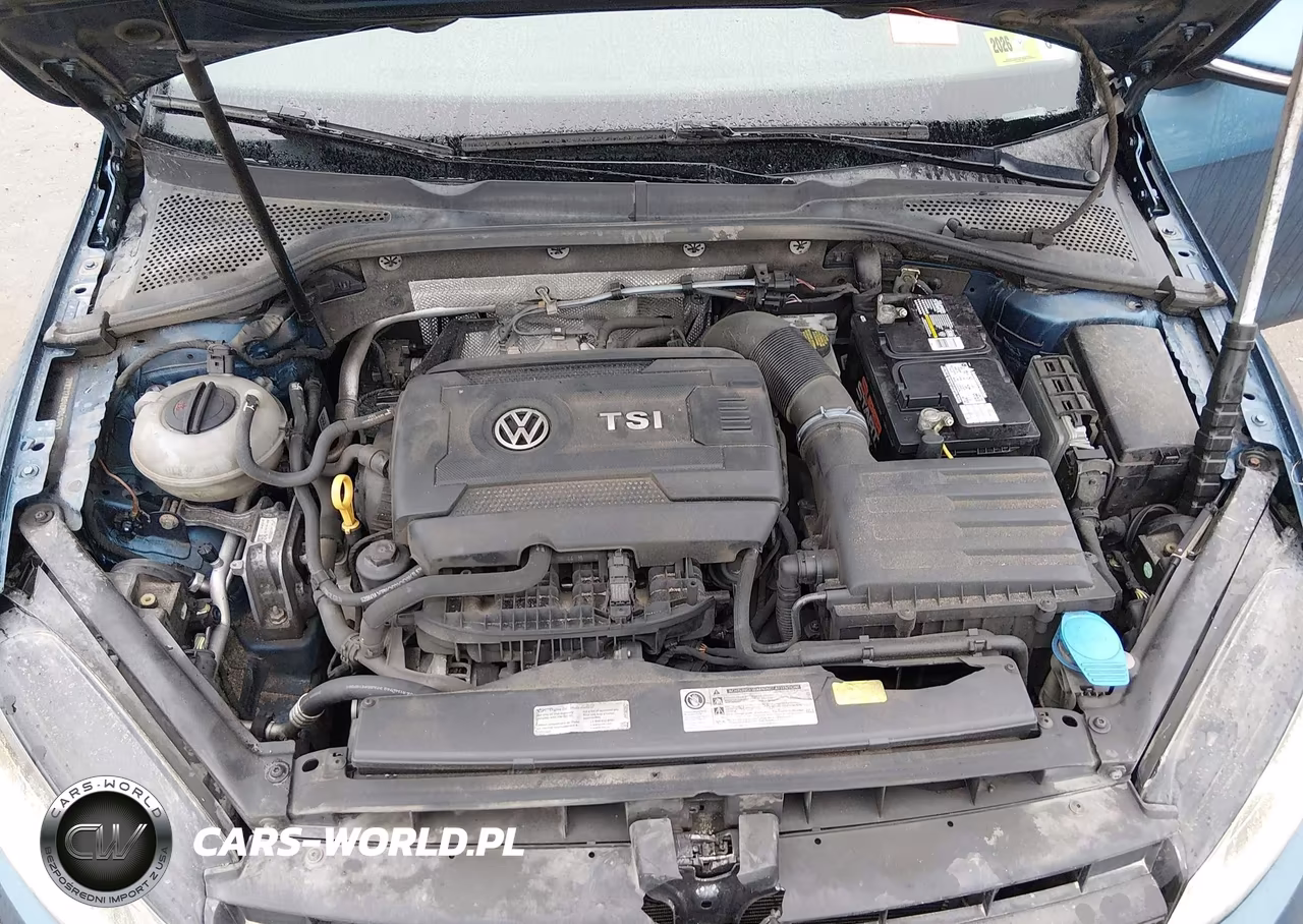 2016 Volkswagen Golf Tsi S 4-Door VIN:3VW217AU4GM043051 - 10