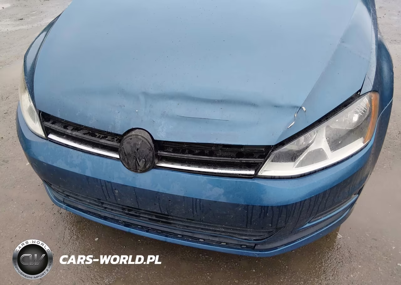 2016 Volkswagen Golf Tsi S 4-Door VIN:3VW217AU4GM043051 - 6