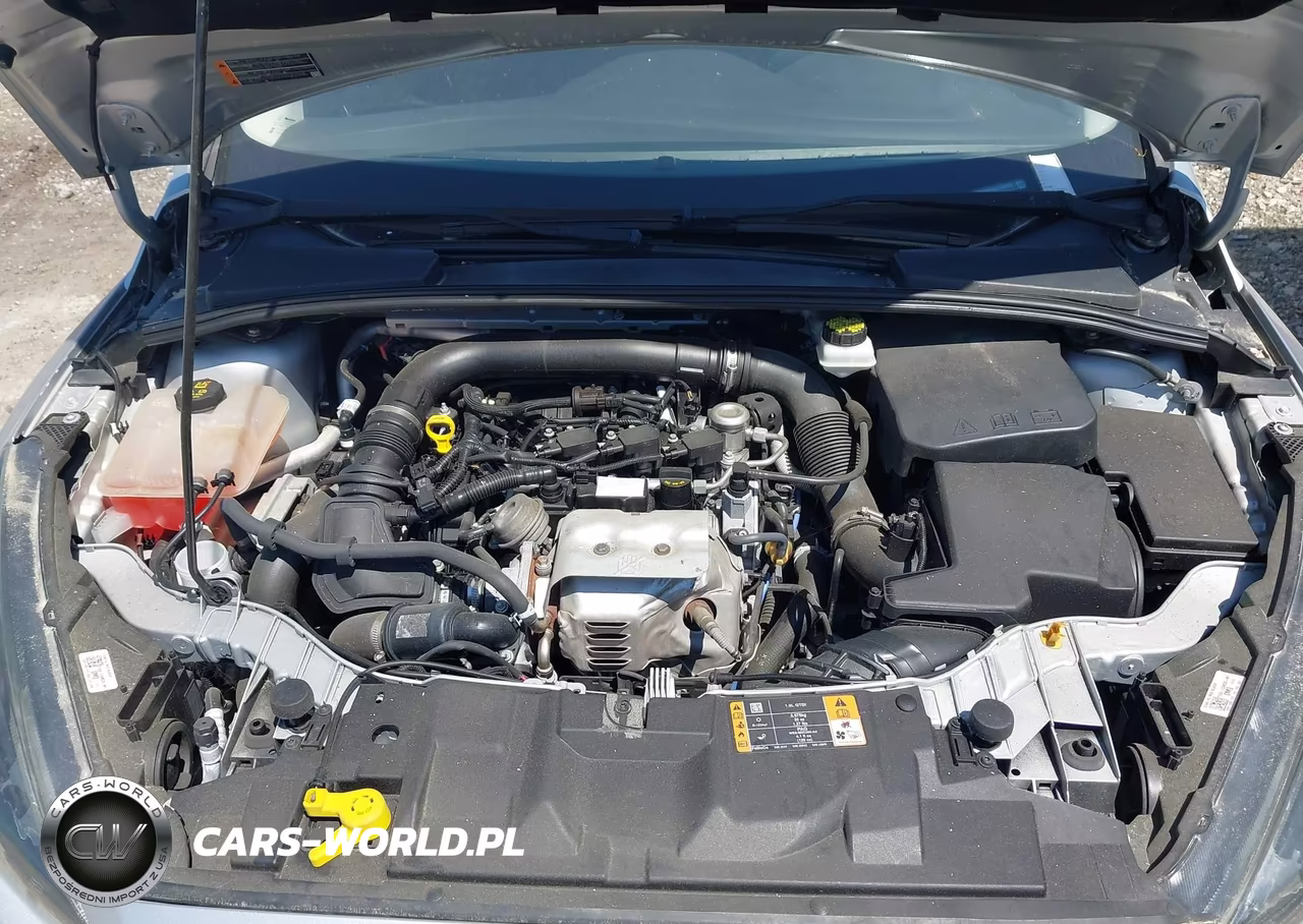 2018 Ford Focus Se VIN:1FADP3FE6JL243173 - 10