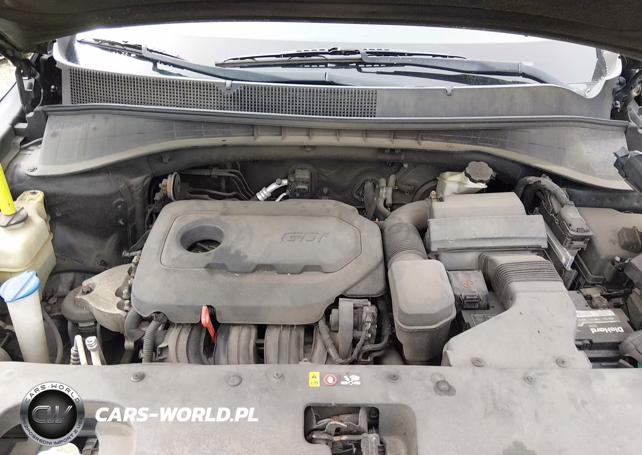 2016 Kia Sorento 2.4L Lx VIN:5XYPGDA35GG099526 - 10