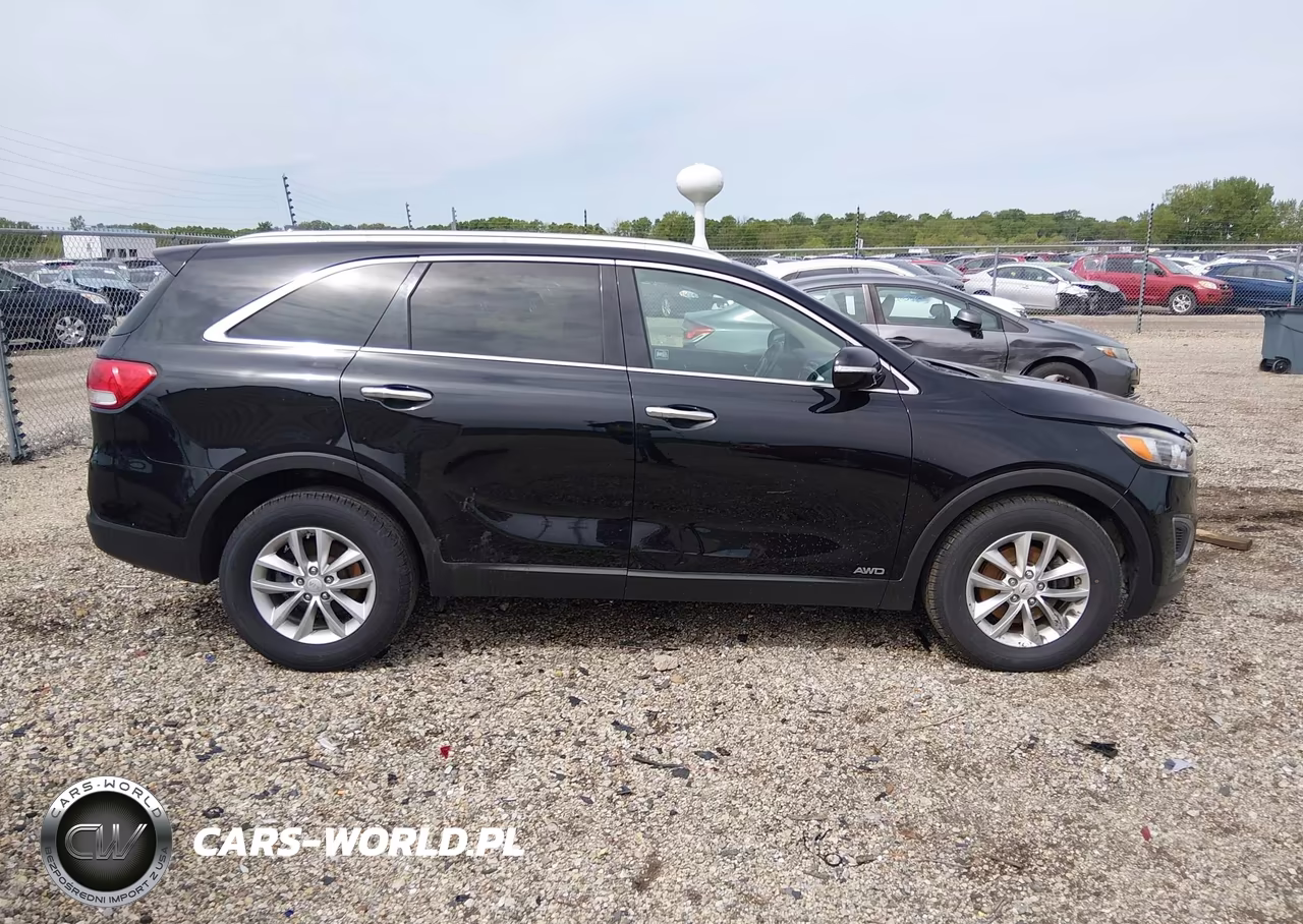 2016 Kia Sorento 2.4L Lx VIN:5XYPGDA35GG099526 - 13