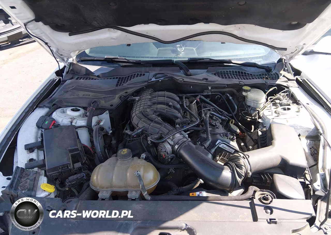 2015 Ford Mustang V6 VIN:1FA6P8AM9F5402221 - 10