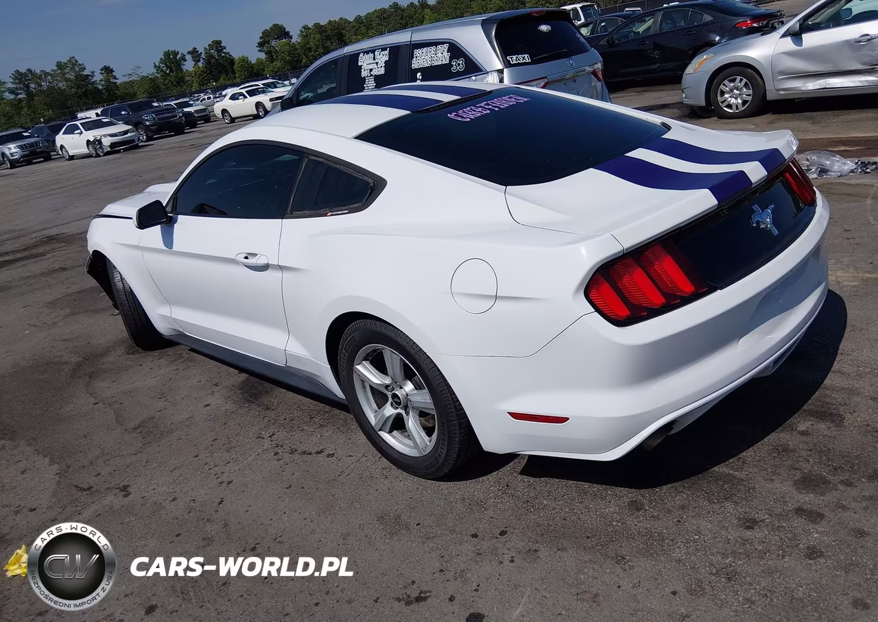 2015 Ford Mustang V6 VIN:1FA6P8AM9F5402221 - 3