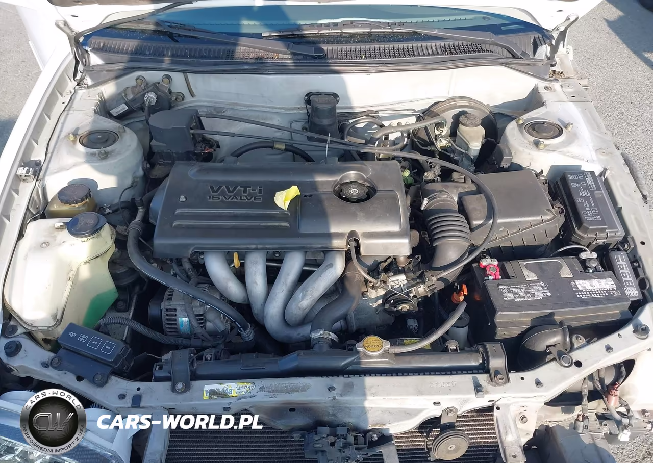 2001 Toyota Corolla Le VIN:1NXBR12E21Z495837 - 10