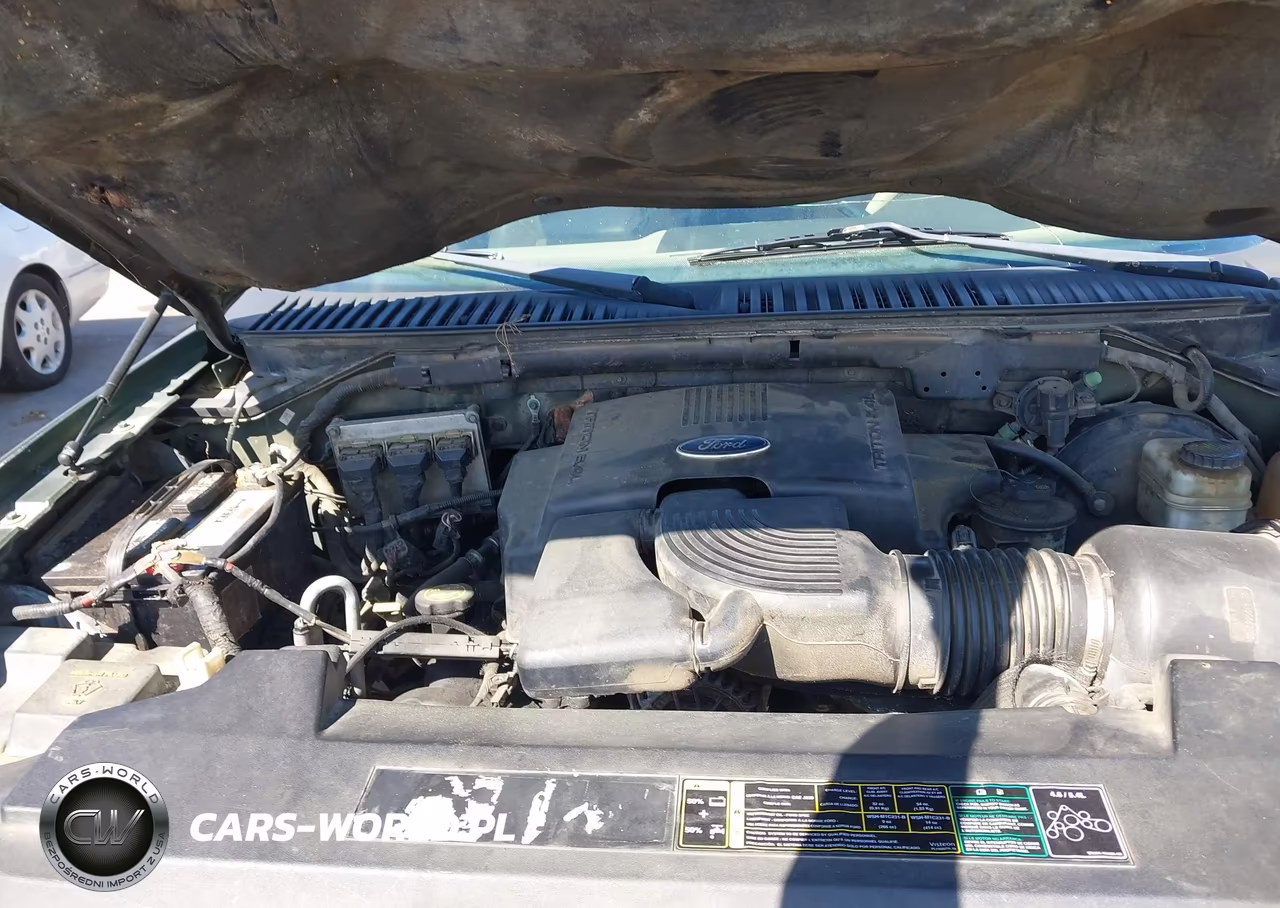 2003 Ford Expedition Eddie Bauer VIN:1FMFU17L63LC38096 - 10