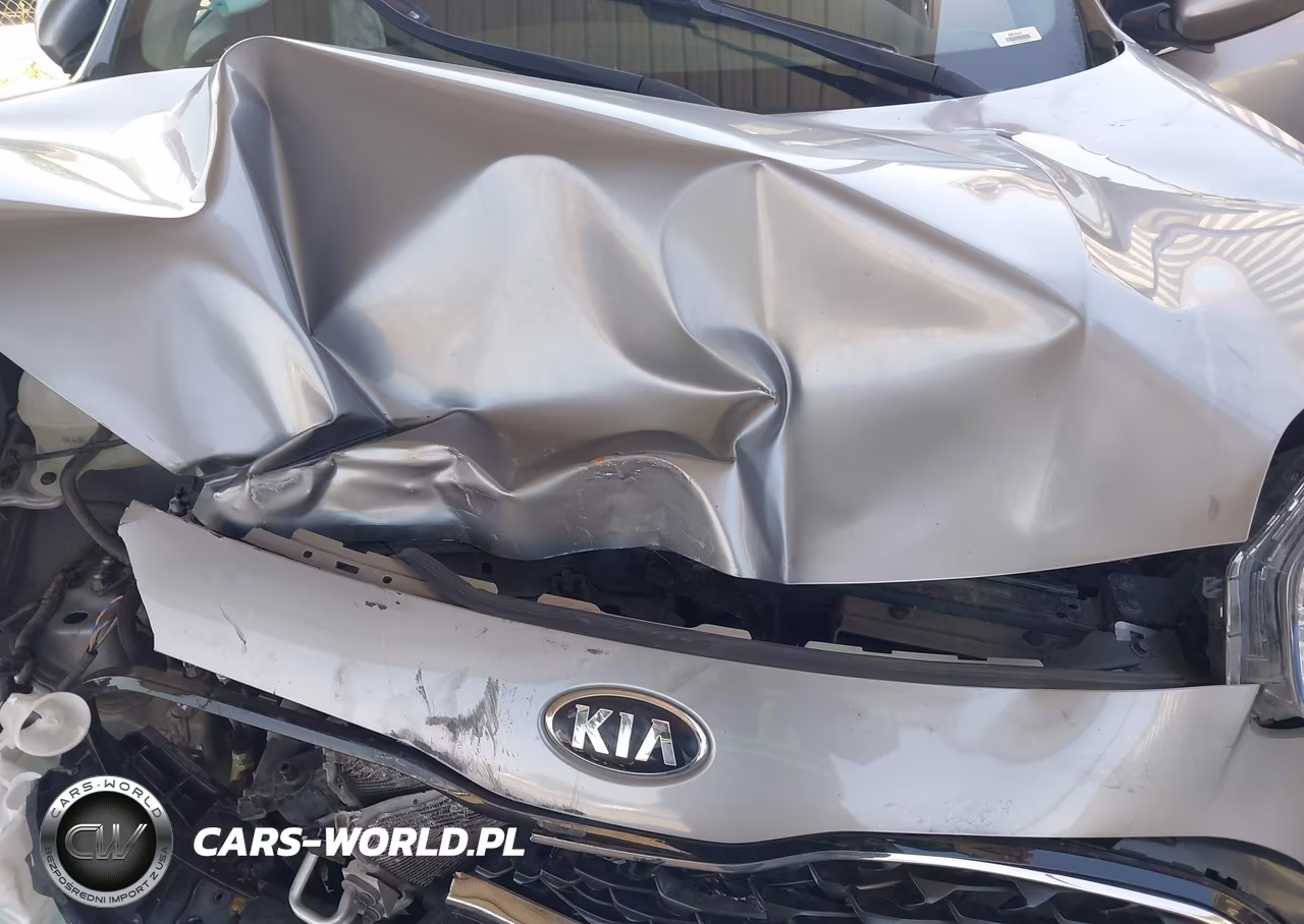 2020 Kia Sportage Lx VIN:KNDPM3AC4L7799242 - 10