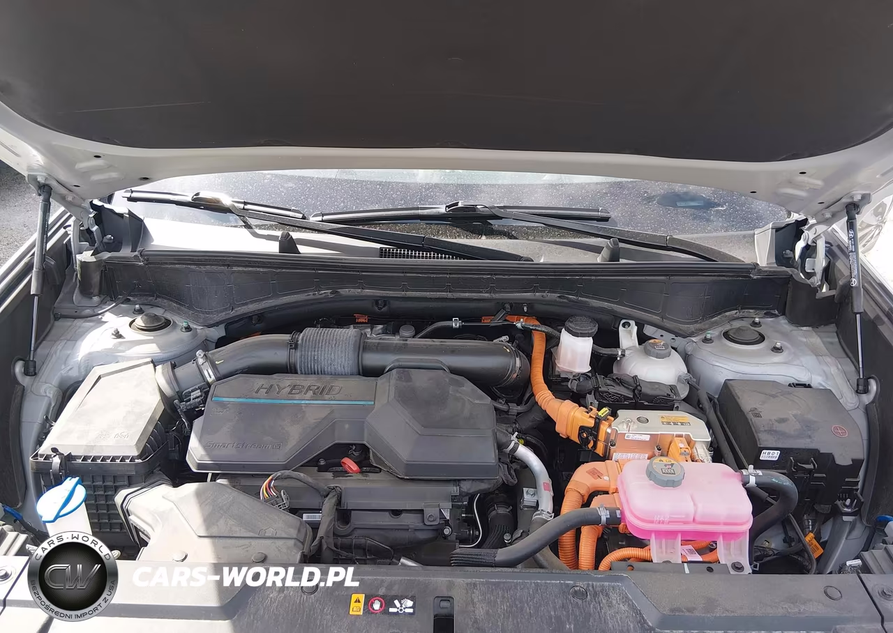2024 Hyundai Santa Fe Hybrid Sel VIN:5NMP24G17RH004610 - 10