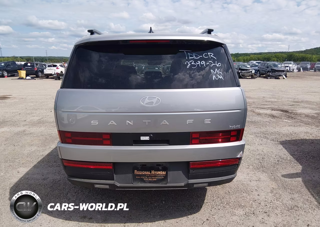 2024 Hyundai Santa Fe Hybrid Sel VIN:5NMP24G17RH004610 - 17
