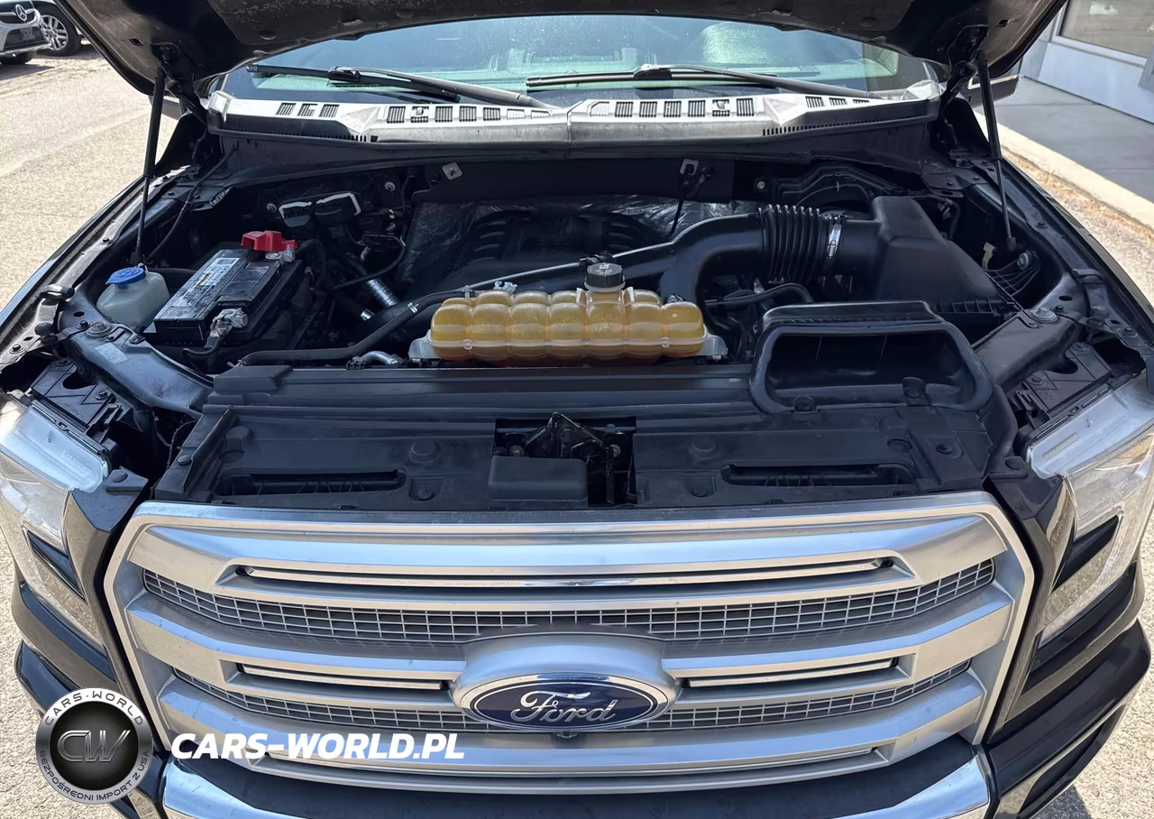 2015 Ford F-150 Platinum VIN:1FTEW1EG1FFC10466 - 10