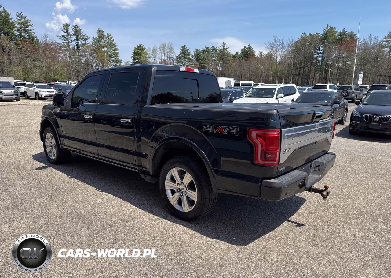 2015 Ford F-150 Platinum VIN:1FTEW1EG1FFC10466 - 3