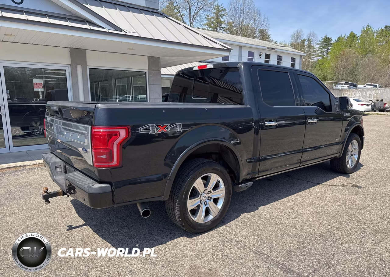 2015 Ford F-150 Platinum VIN:1FTEW1EG1FFC10466 - 4