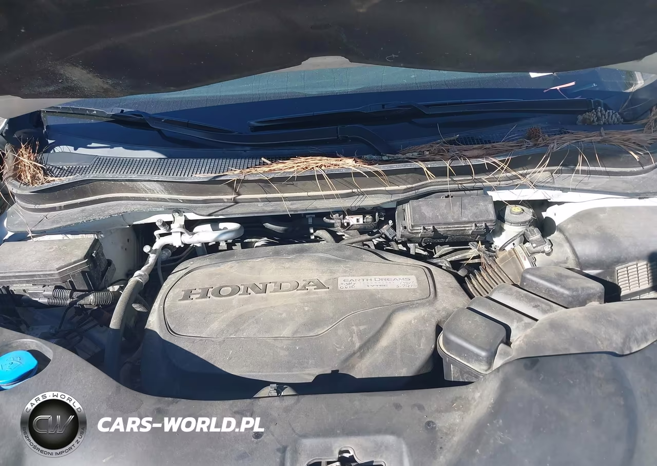 2017 Honda Pilot Touring VIN:5FNYF5H90HB037919 - 10