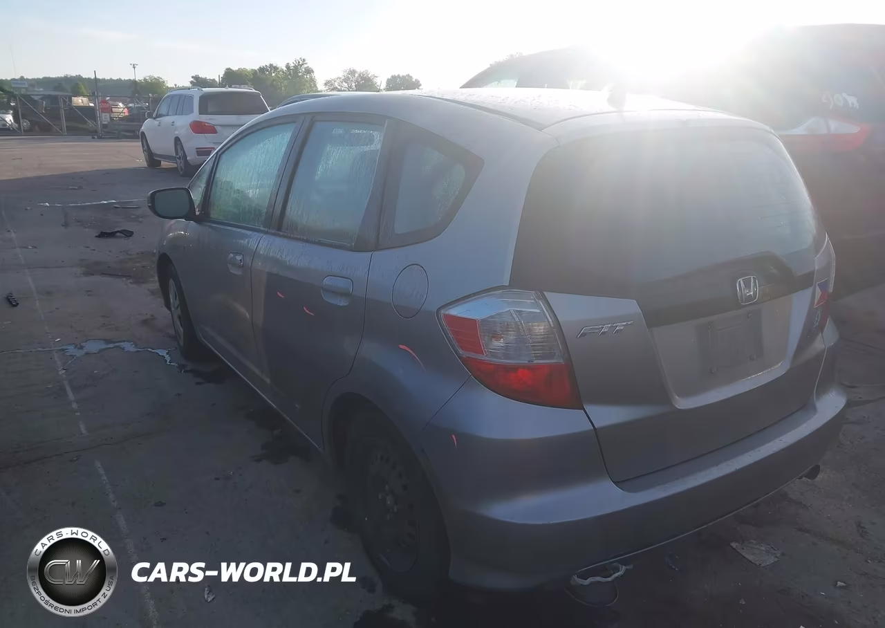 2010 Honda Fit VIN:JHMGE8G22AC035384 - 3
