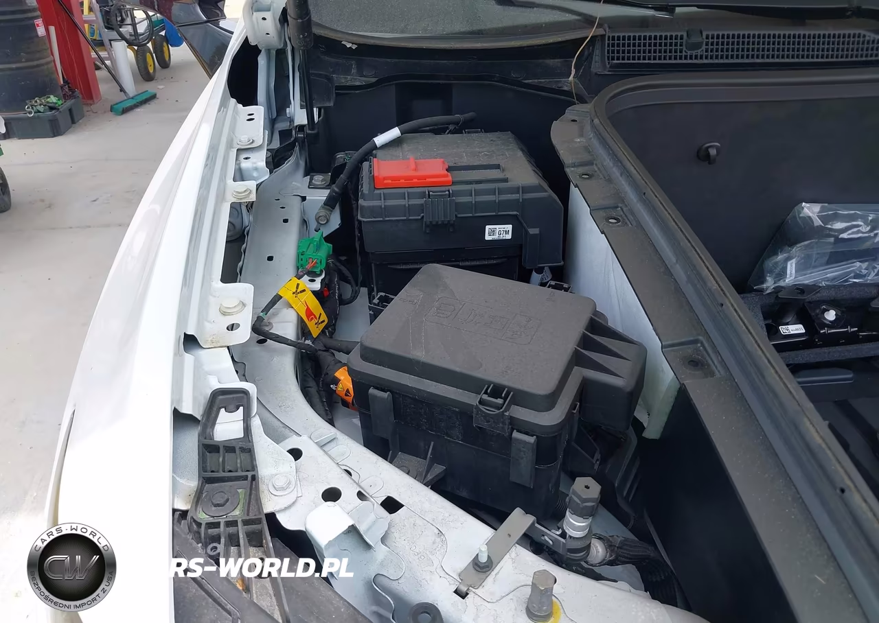 2024 Chevrolet Silverado Ev Work Truck VIN:1GC10UED2RU203503 - 10