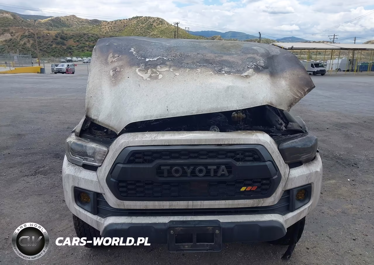2018 Toyota Tacoma Trd Off Road VIN:3TMCZ5AN5JM180519 - 12