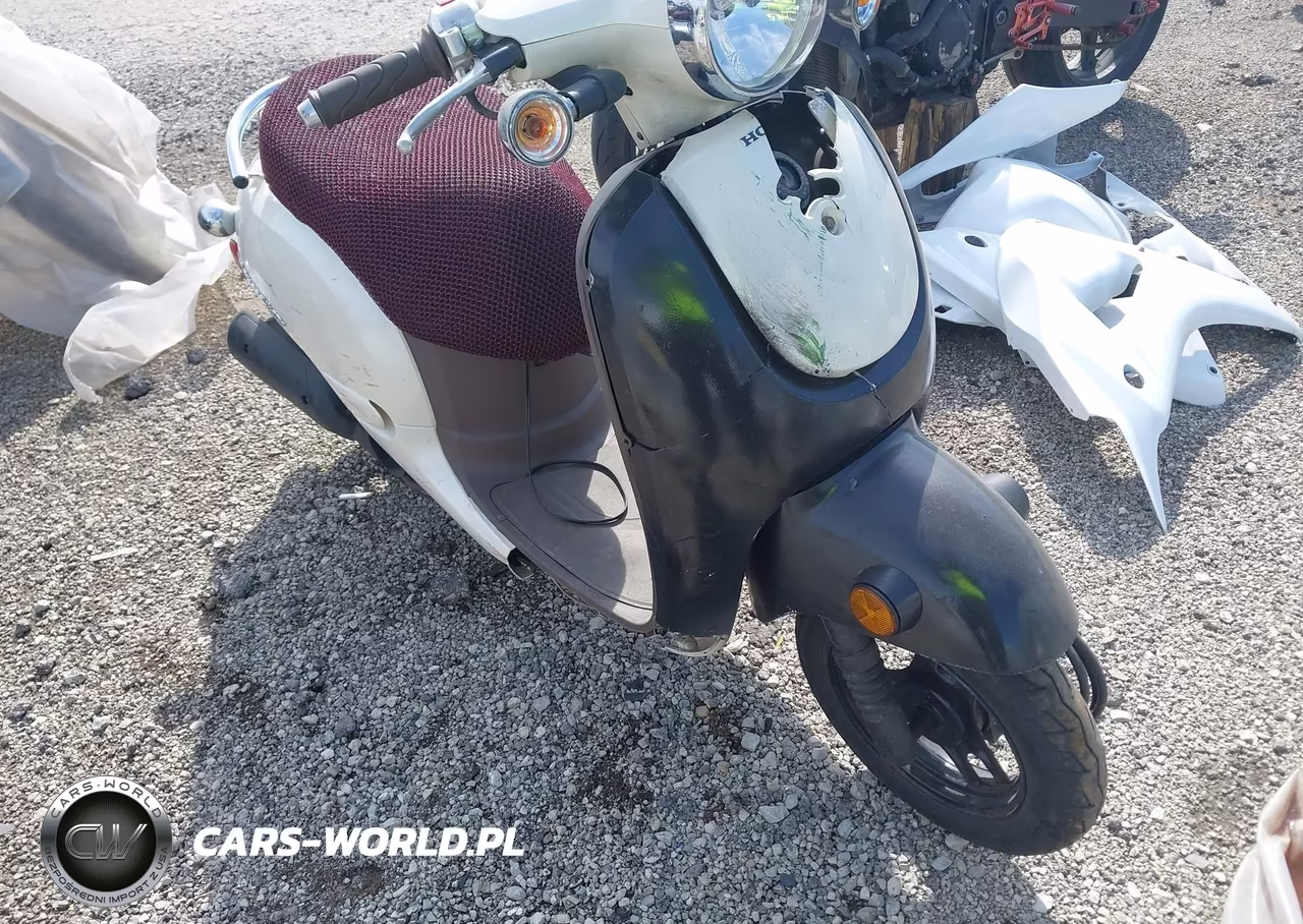 2013 Honda Nch50
