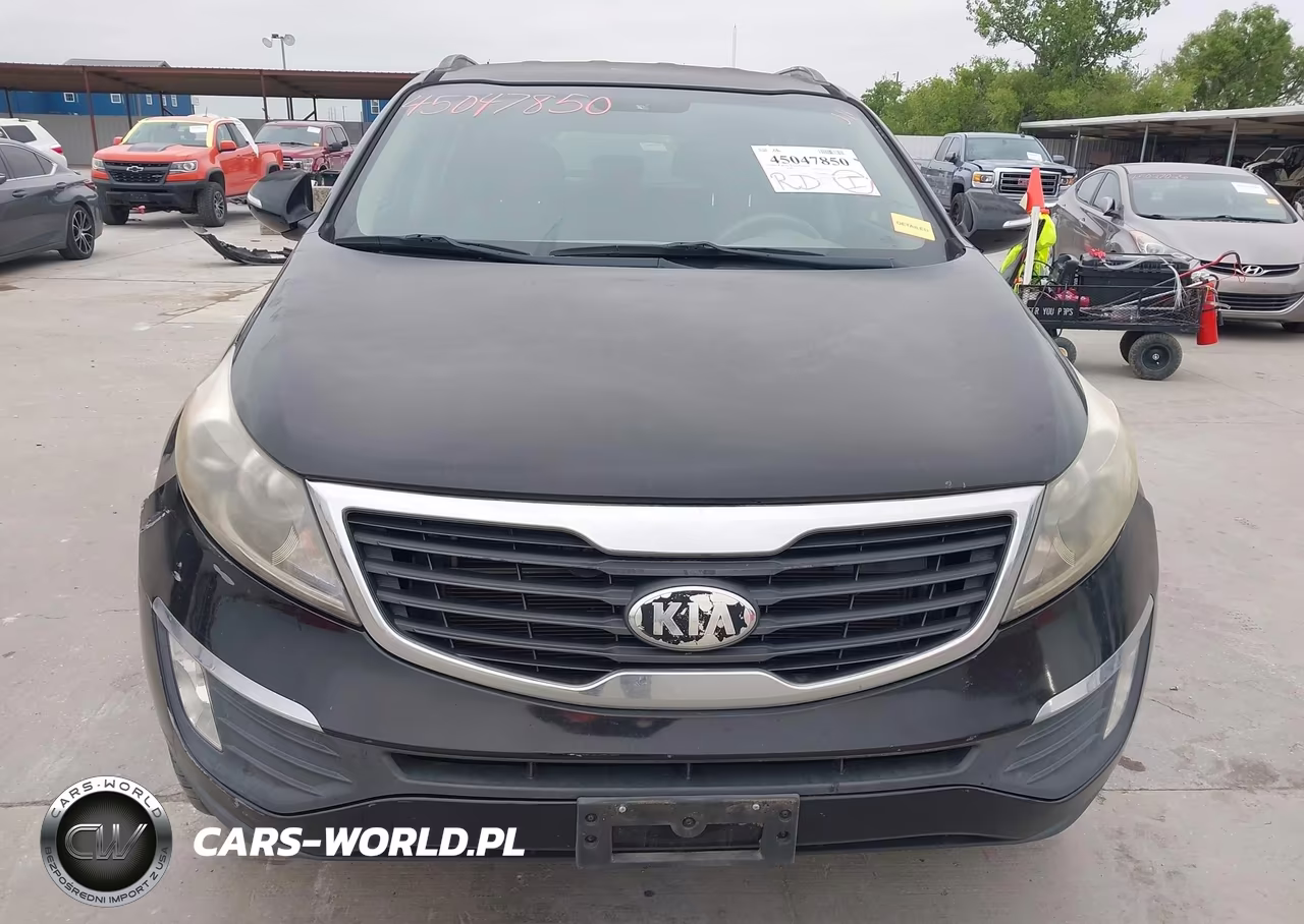 2013 Kia Sportage Ex VIN:KNDPC3A27D7529224 - 13