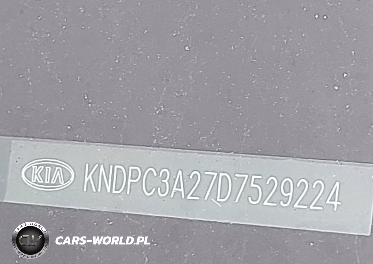 2013 Kia Sportage Ex VIN:KNDPC3A27D7529224 - 18