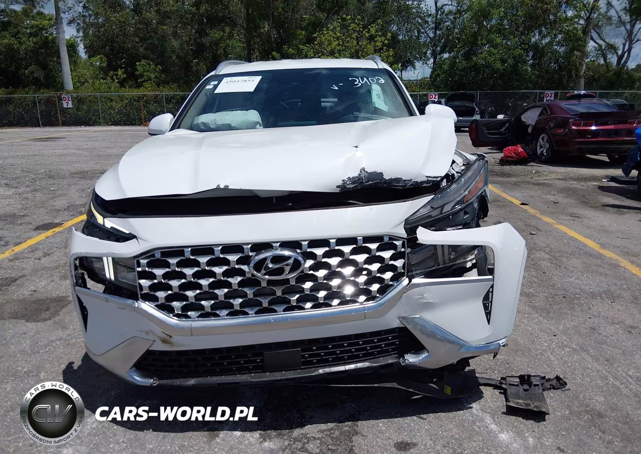 2022 Hyundai Santa Fe Sel VIN:5NMS24AJ7NH443402 - 13
