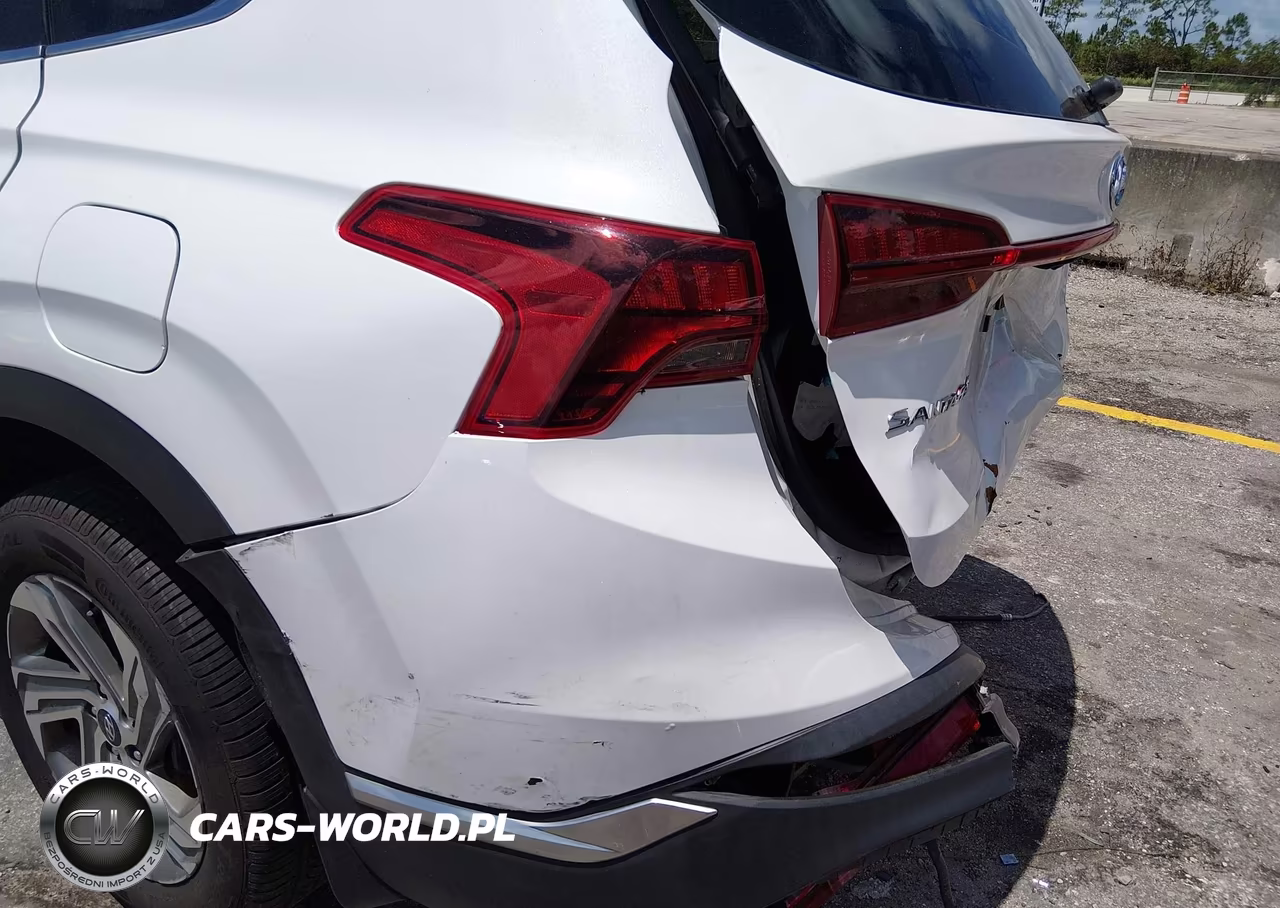 2022 Hyundai Santa Fe Sel VIN:5NMS24AJ7NH443402 - 19