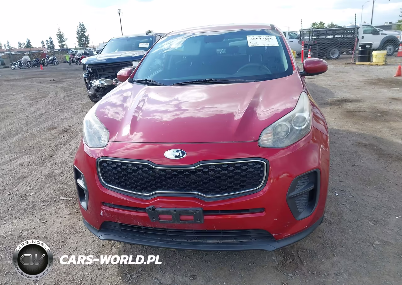 2019 Kia Sportage Lx VIN:KNDPM3ACXK7536123 - 12
