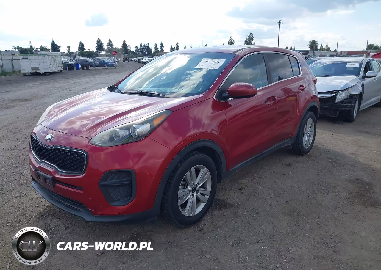 2019 Kia Sportage Lx VIN:KNDPM3ACXK7536123 - 2