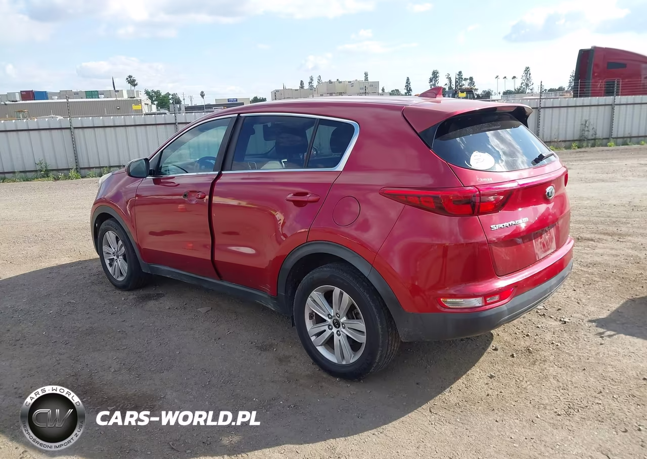 2019 Kia Sportage Lx VIN:KNDPM3ACXK7536123 - 3