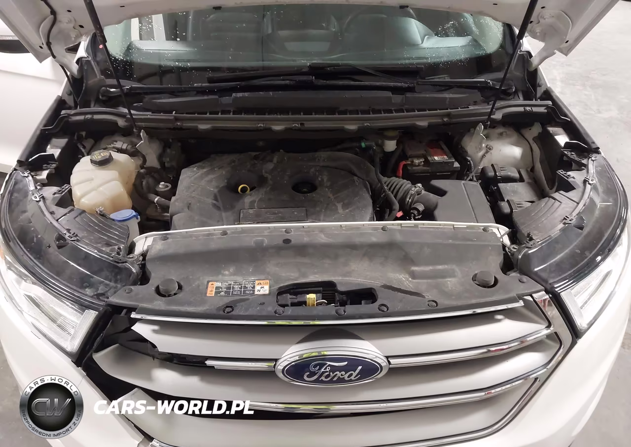 2016 Ford Edge Sel VIN:2FMPK4J9XGBC42621 - 10