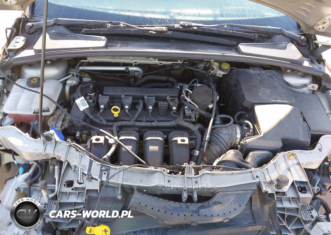 2016 Ford Focus Se VIN:1FADP3F21GL304248 - 10