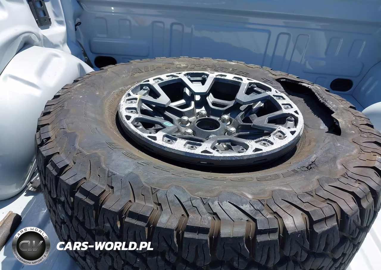 2025 Ford F-150 Raptor VIN:1FTFW1RGXSFB46484 - 11