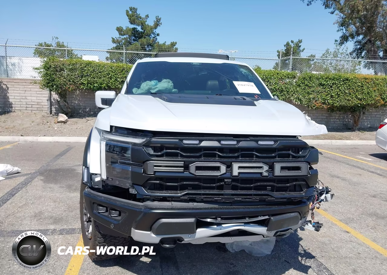 2025 Ford F-150 Raptor VIN:1FTFW1RGXSFB46484 - 12