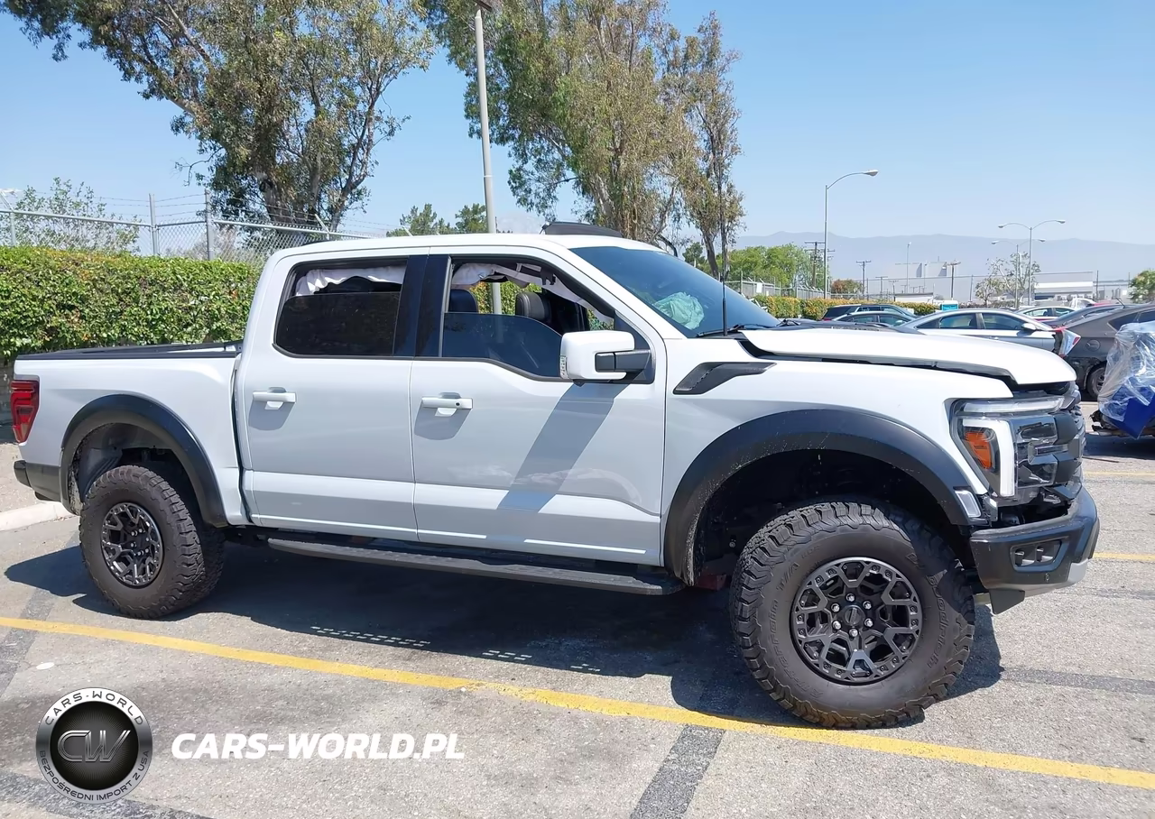 2025 Ford F-150 Raptor VIN:1FTFW1RGXSFB46484 - 13