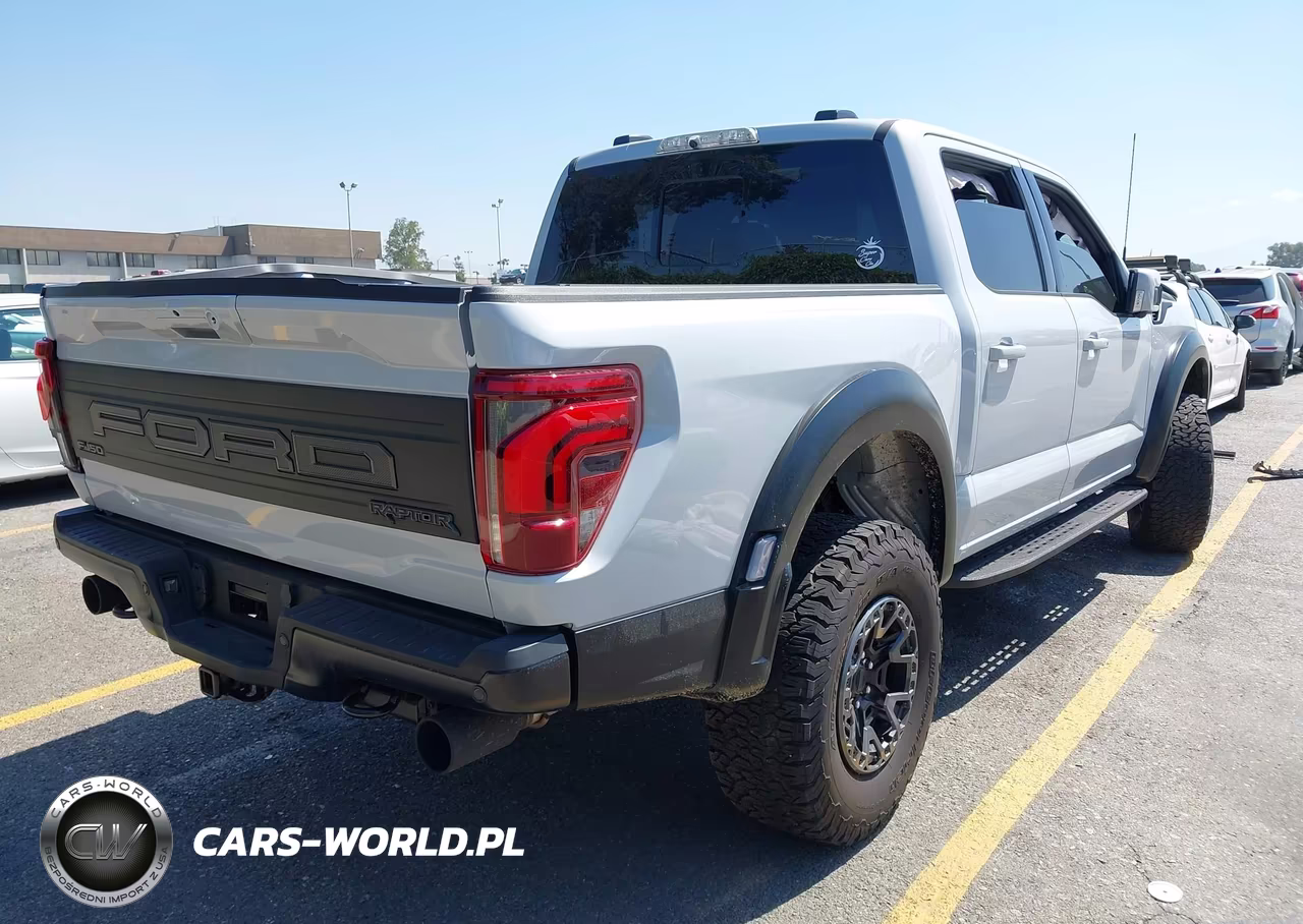 2025 Ford F-150 Raptor VIN:1FTFW1RGXSFB46484 - 4