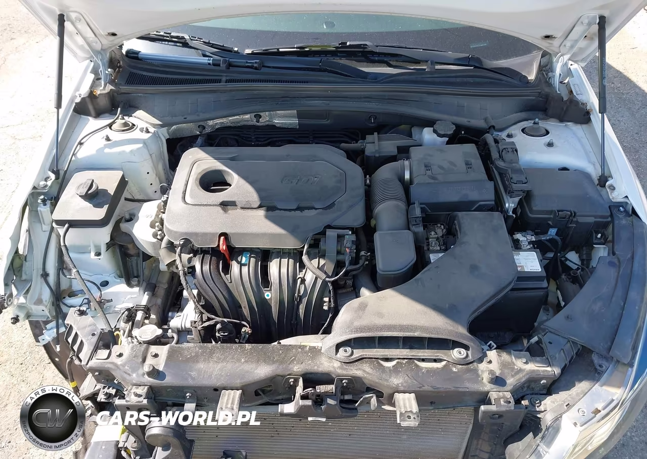 2020 Kia Optima Se VIN:5XXGT4L37LG431490 - 10