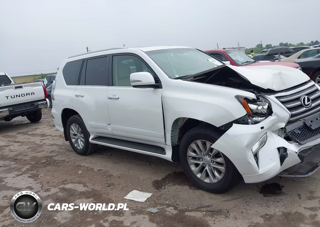 2019 Lexus Gx 460 Premium VIN:JTJBM7FX0K5240534 - 13