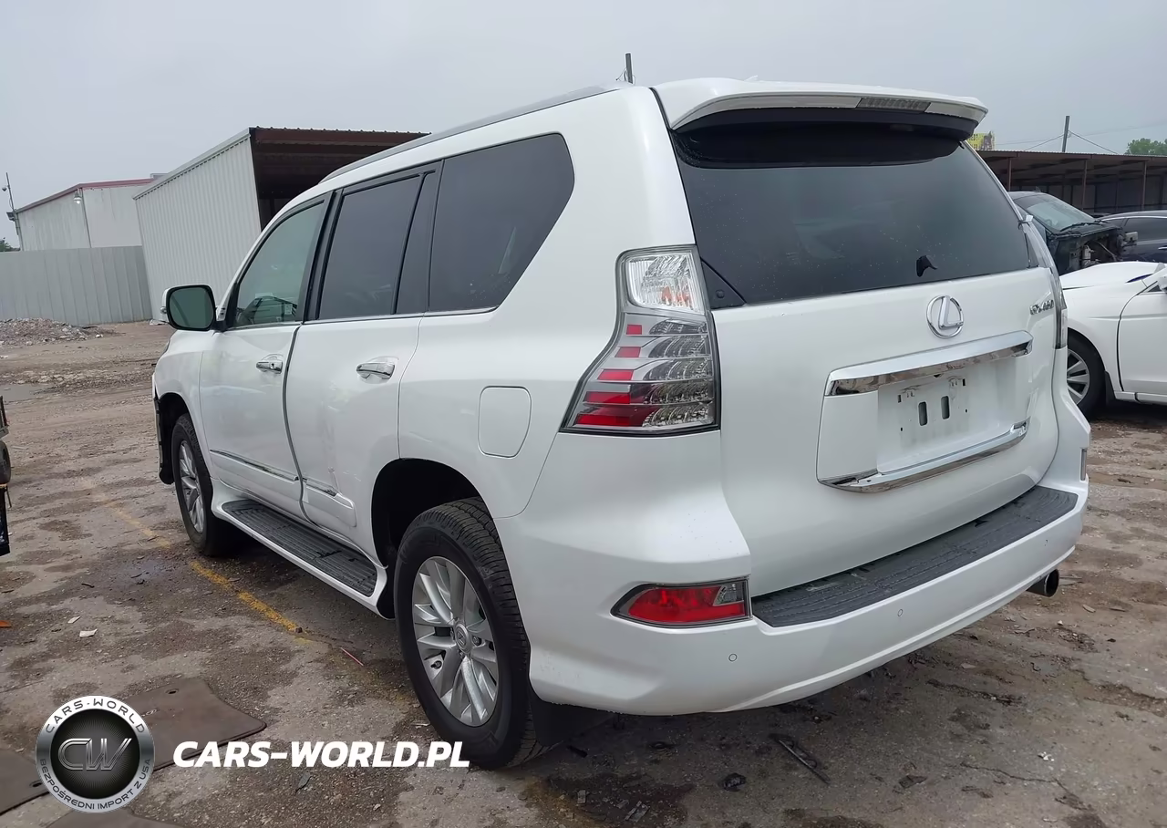 2019 Lexus Gx 460 Premium VIN:JTJBM7FX0K5240534 - 3