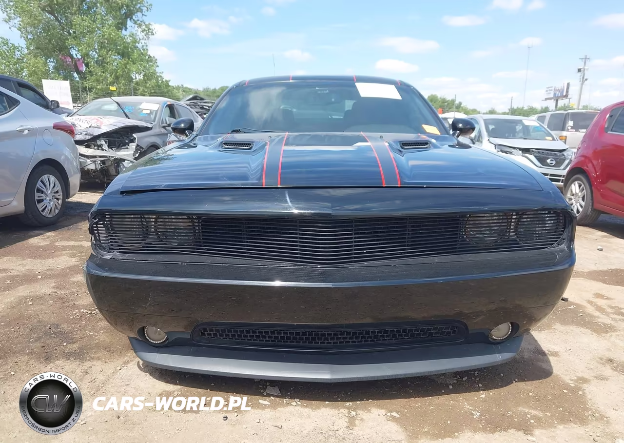 2014 Dodge Challenger R-T Plus VIN:2C3CDYBT6EH100425 - 12