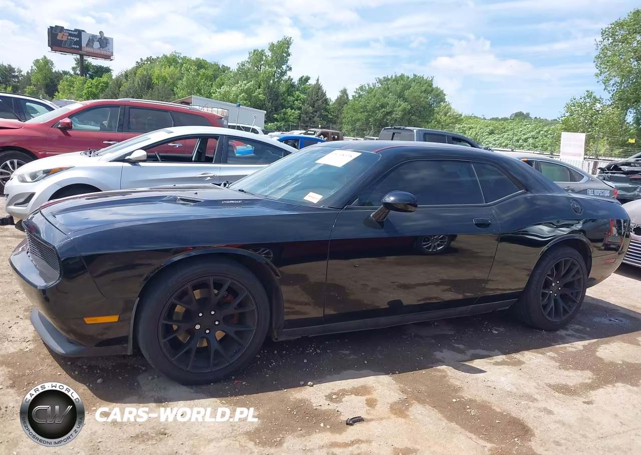 2014 Dodge Challenger R-T Plus VIN:2C3CDYBT6EH100425 - 14