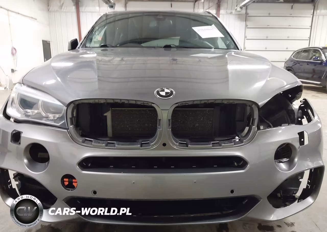 2016 BMW X5 xDrive50I VIN:5UXKR6C50G0J80095 - 6