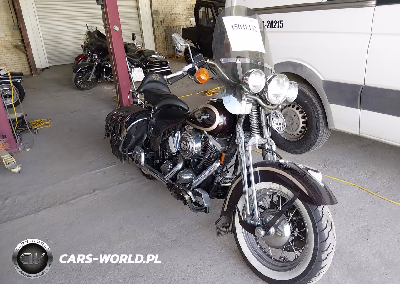 1998 Harley-Davidson Flsts Anniversary