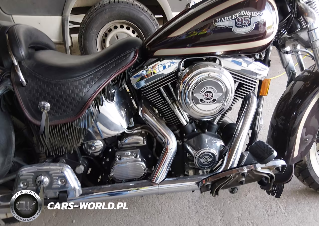 1998 Harley-Davidson Flsts Anniversary VIN:1HD1BRL41WY045216 - 12
