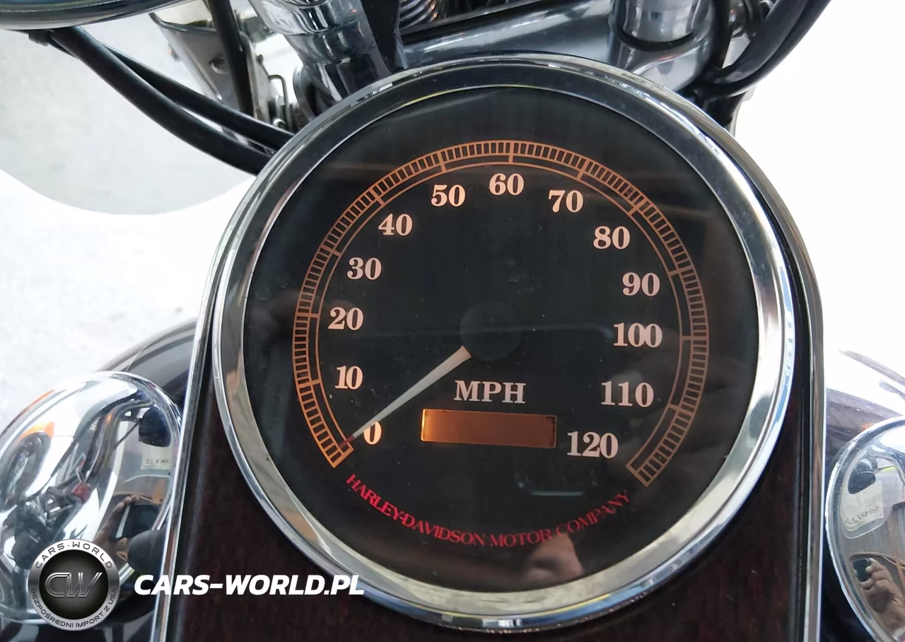 1998 Harley-Davidson Flsts Anniversary VIN:1HD1BRL41WY045216 - 7