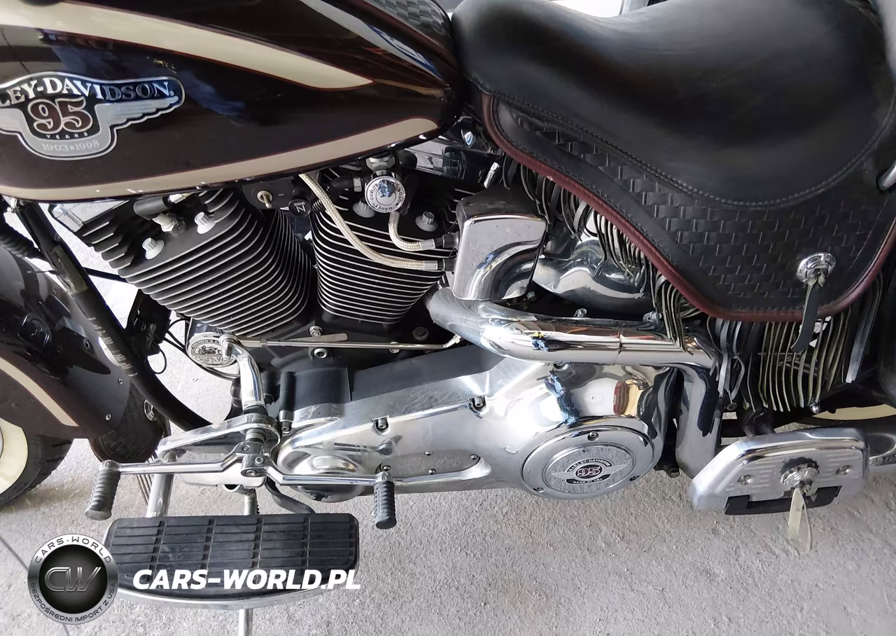1998 Harley-Davidson Flsts Anniversary VIN:1HD1BRL41WY045216 - 9