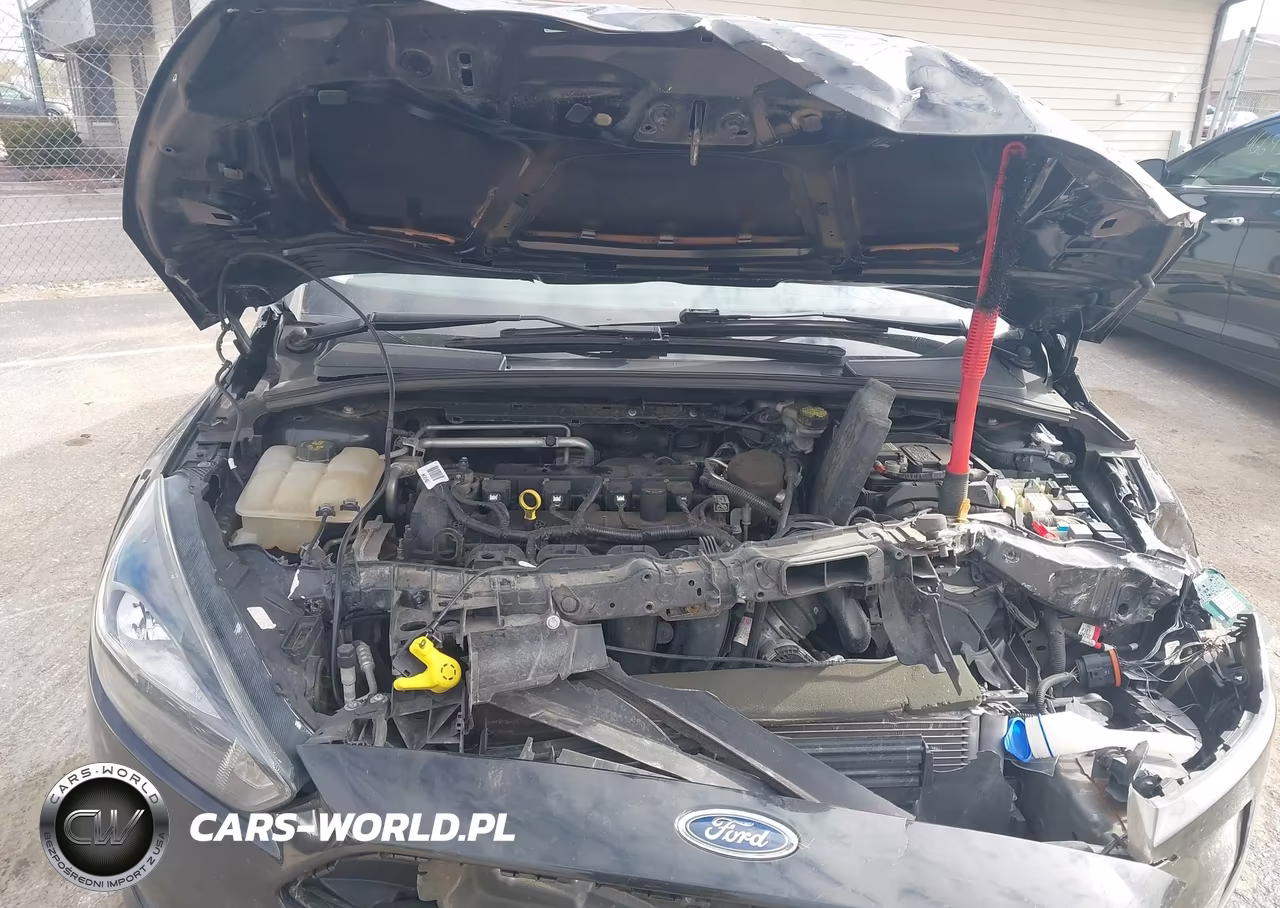 2015 Ford Focus Se VIN:1FADP3F22FL355417 - 10