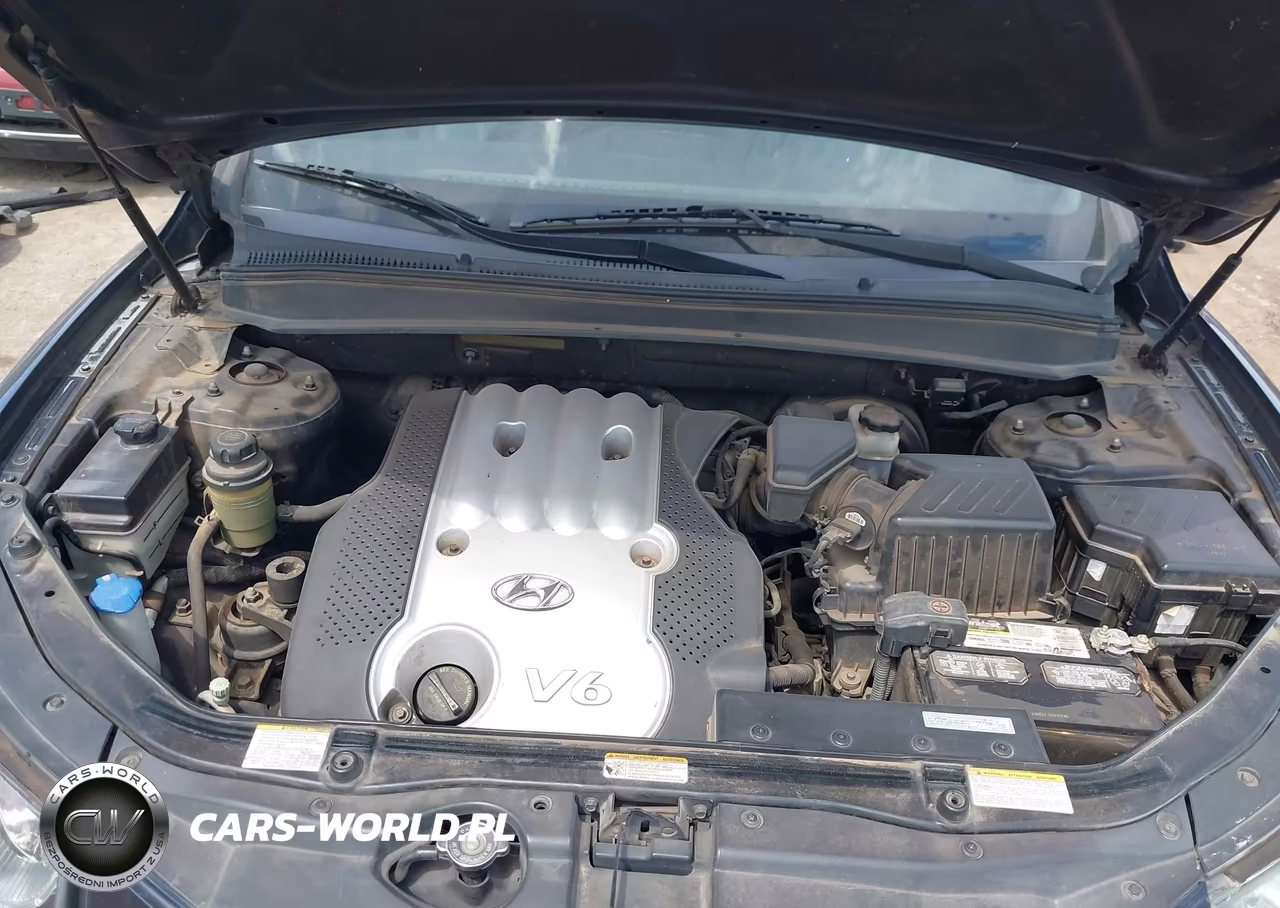 2007 Hyundai Santa Fe Gls VIN:5NMSG13D17H044558 - 10
