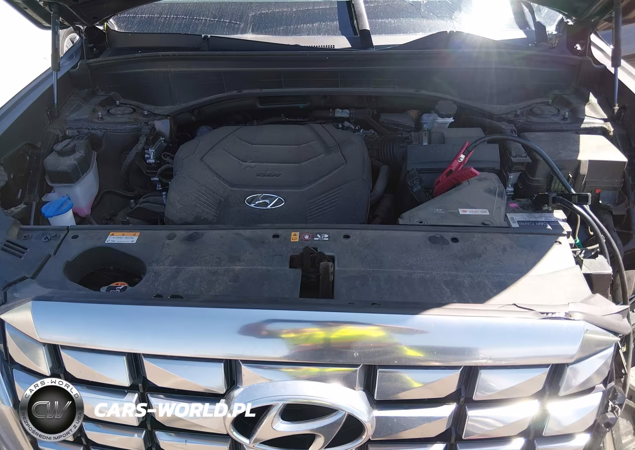 2023 Hyundai Palisade Calligraphy VIN:KM8R74GE1PU639028 - 10