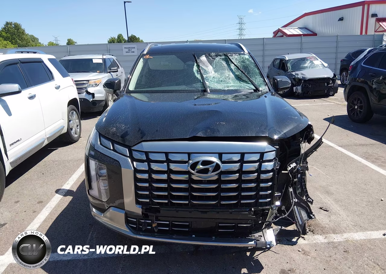 2023 Hyundai Palisade Calligraphy VIN:KM8R74GE1PU639028 - 12